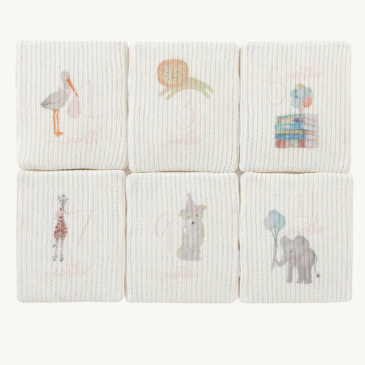 Plush Milestone Toy